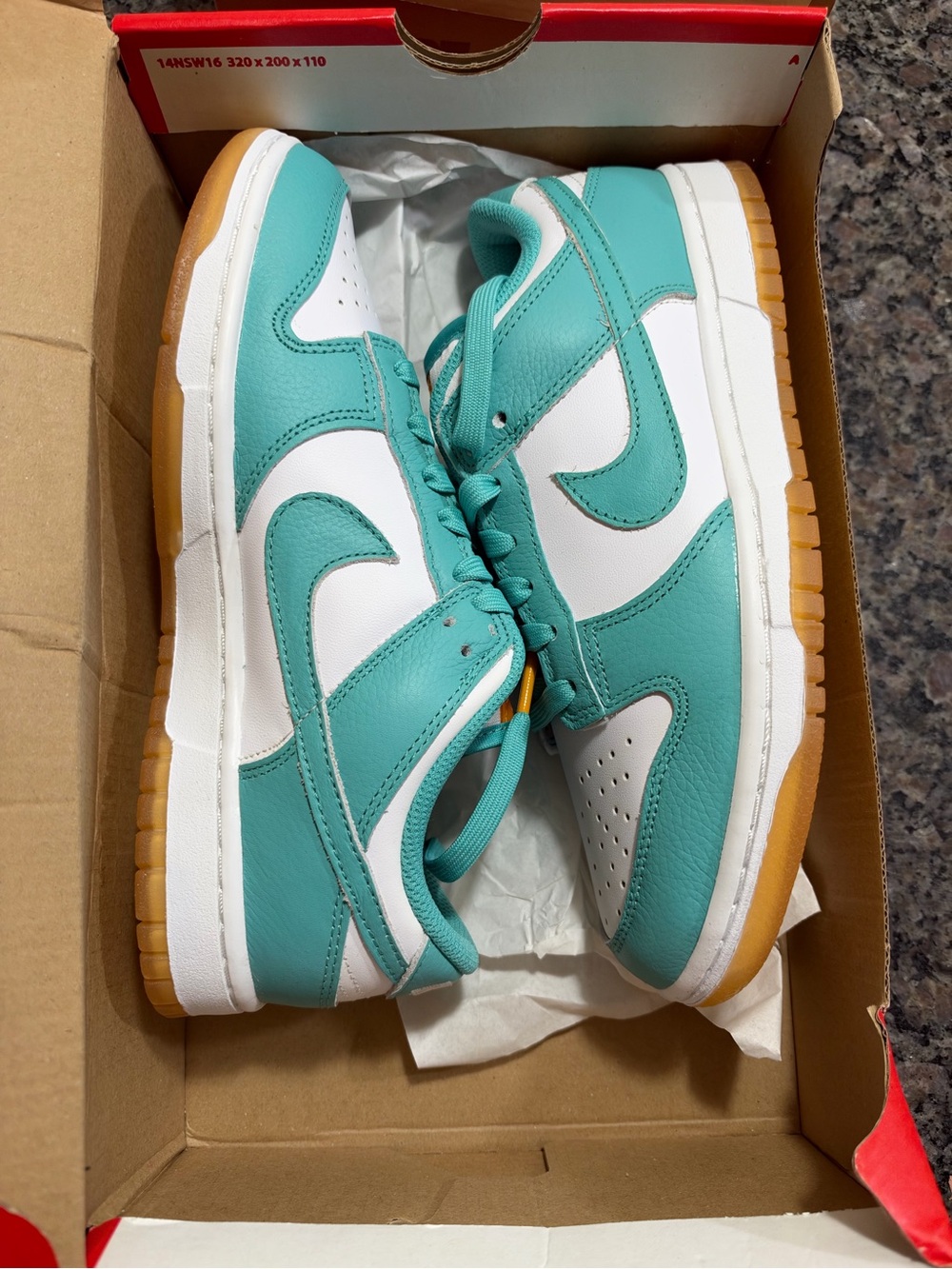 Women’s or boys Teal and White Low-Top Sneakers dunks